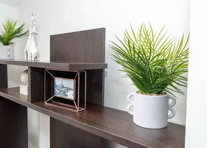 Entire In * مانشستر