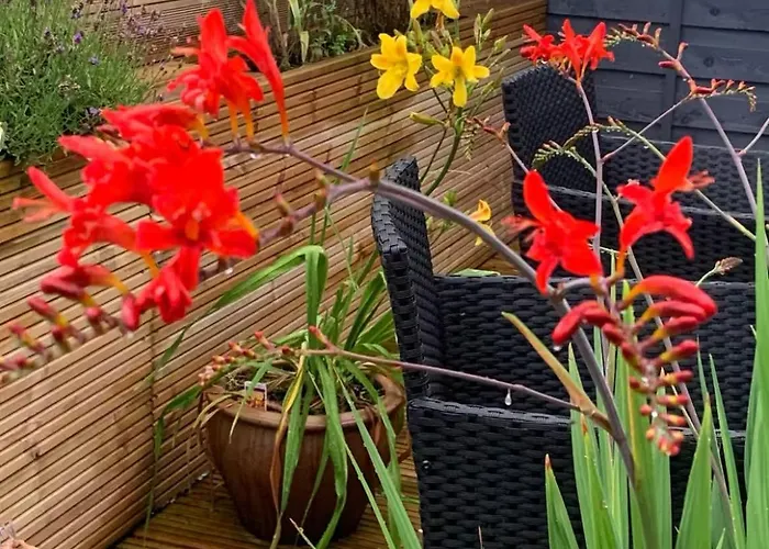 Dom wakacyjny 5 Bedrm Hse! Ev! & Nr Citycentre! Manchester