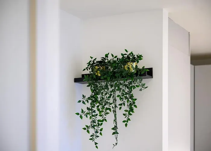 Appartement Modern Luxurious