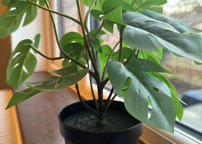 דירה M16 Deluxe - 2 מנצ'סטר