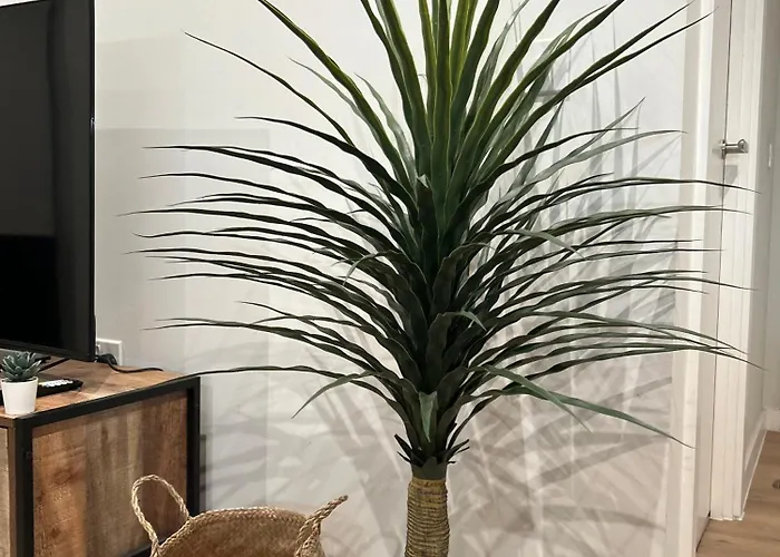 Bohemian With Terrace & Gym Διαμέρισμα *