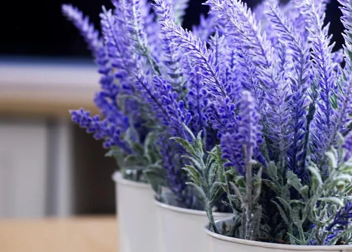 Great 2bed In Salford Quays With Water View Apartment