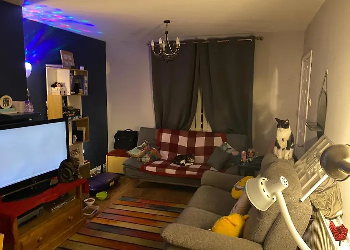 Séjour chez l'habitant Comfortable Cat-friendly With Garden & Parking Manchester