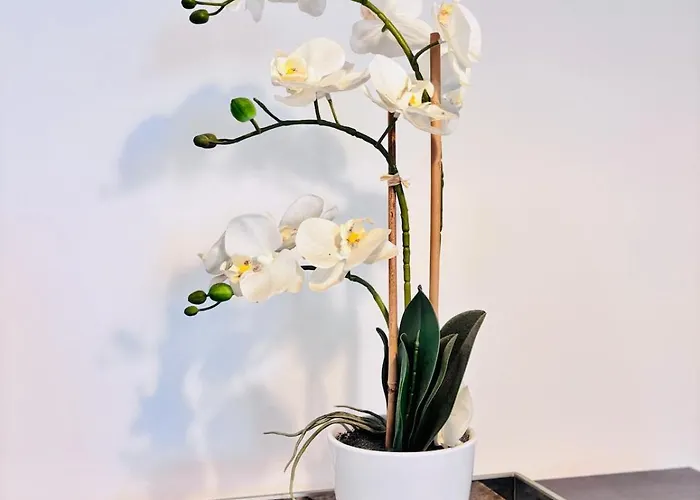 شقة Luxury 5br With Access