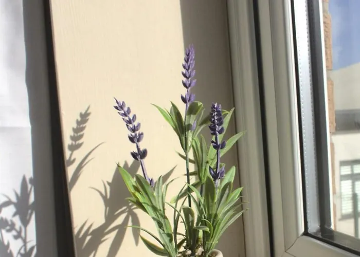 Hub - 2br With Free Parking, Near Airport & Attractions