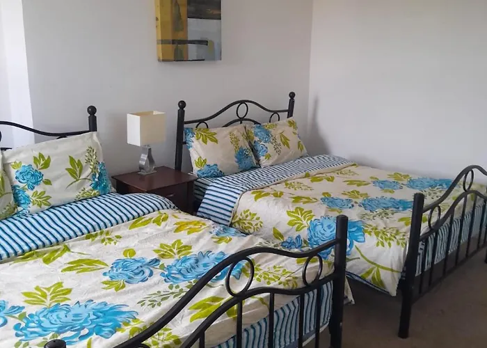 招待所 Monarch House *