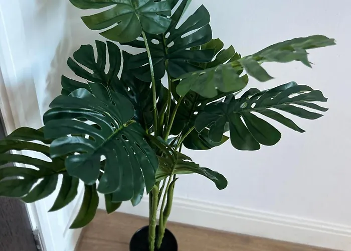 아파트 Spacious - Next To Ao Arena & Picadilly Station - Local Attractions - Free Parking 맨체스터