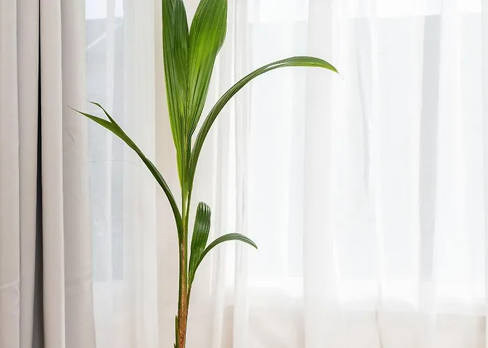 6-bedroom, 6-bathroom Contractor Σπίτι διακοπών Μάντσεστερ