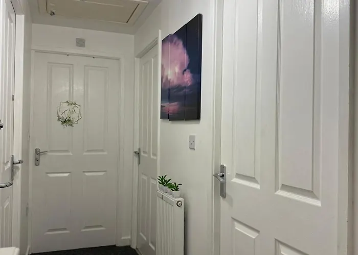 The Olive * マンチェスター