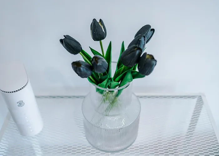 Driveway Stunning 3bedroom In Withington * Manchester