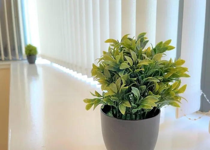 Mosh Hulme 4* Manchester