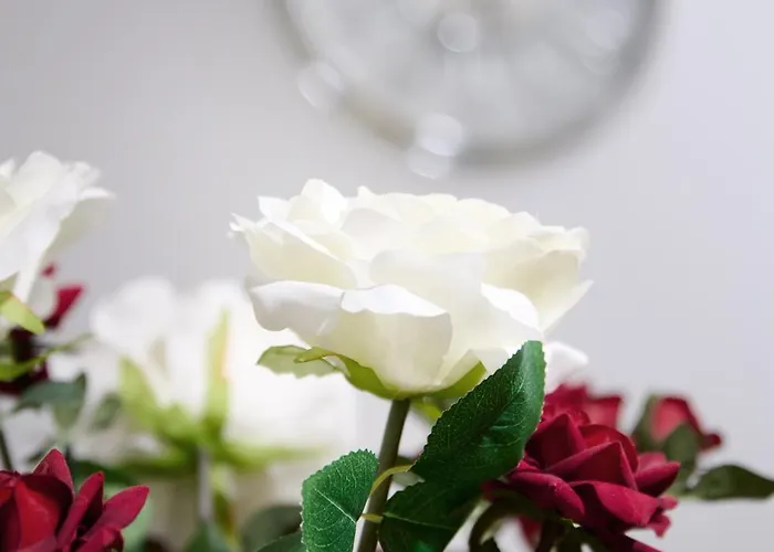 Joyful Management - Riverview 1 Bedroom 10 Min To Centre Lägenhet Manchester