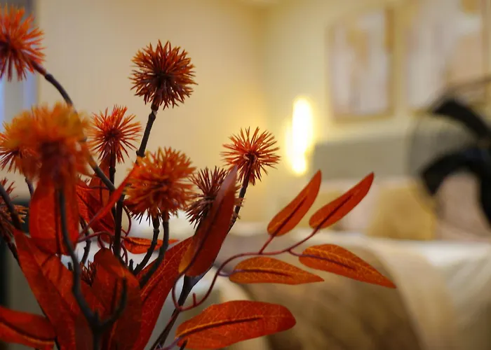 Luxehaus Mcr Manchester