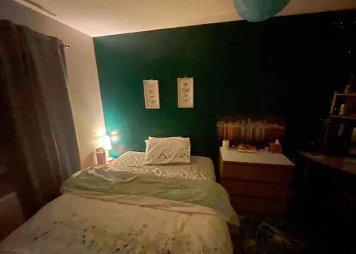 Comfortable Cat-friendly With Garden & Parking Séjour chez l'habitant *