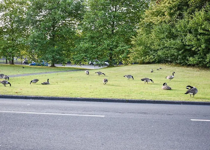 New 3 Bedroom Stylish With Drive & Garden * 맨체스터