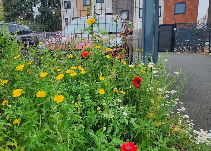 公寓 Prime Breaks *