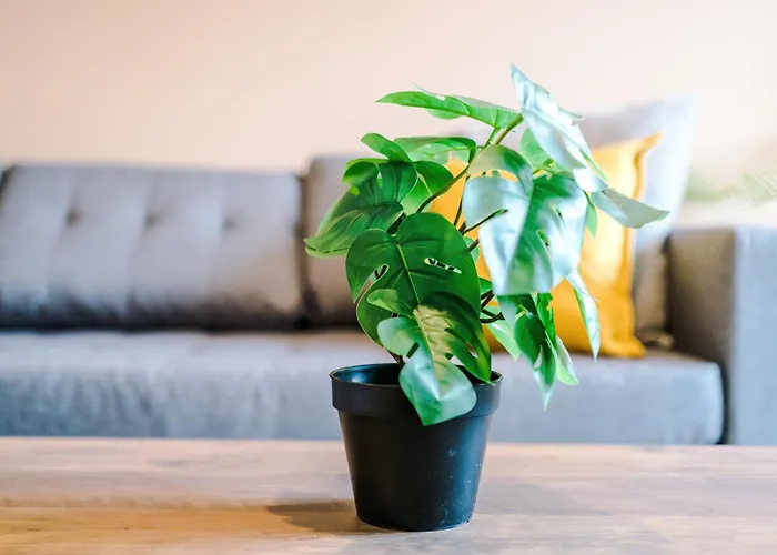 Modern 3 Bedroom - Driveway Parking For 2 Vehicles, Close To Centre マンチェスター