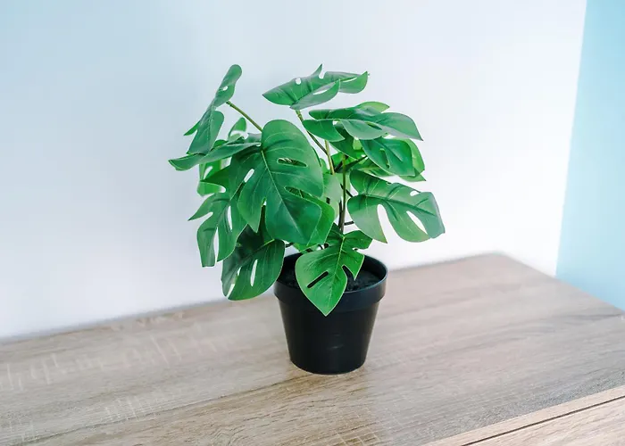 別荘 Modern 3 Bedroom - Driveway Parking For 2 Vehicles, Close To Centre *