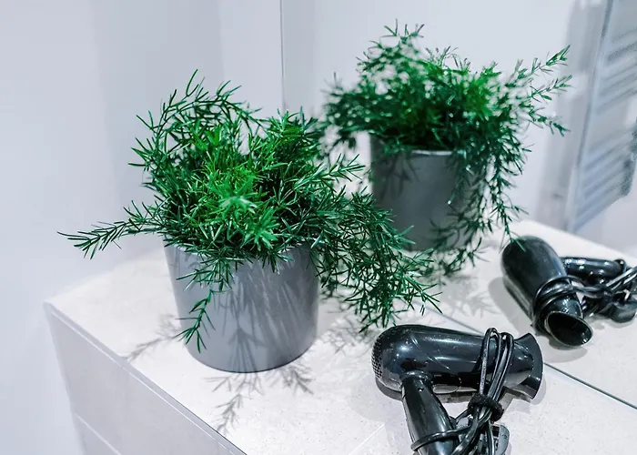 Modern 2br Parking Great Location & Amenities 아파트 맨체스터