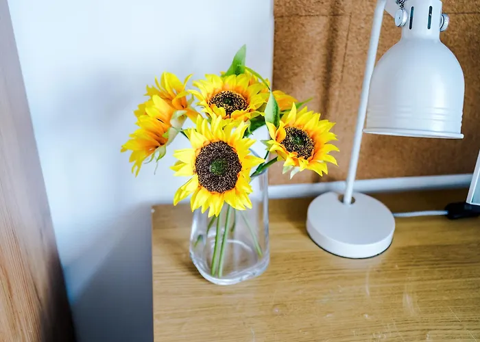 아파트 2br Heights Sleeps 7 Parking & Wifi