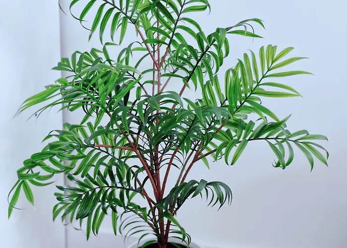 Modern House Casa de hóspedes *