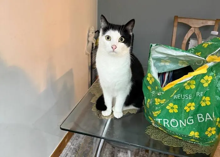 홈스테이 Contemporary Guest With Private Bathroom Near Centre *