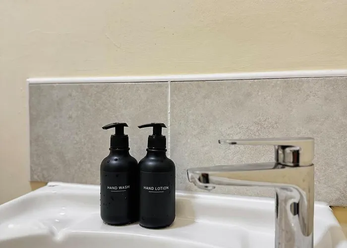 The Scholars Mánchester