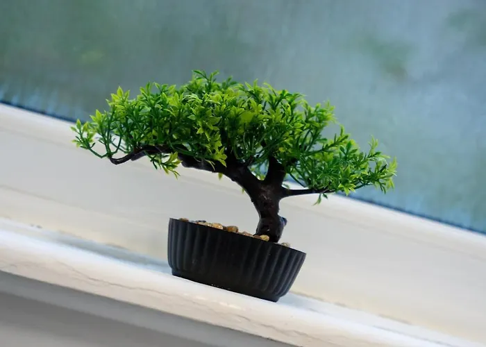 Luxury Group - - Sleeps 9 別荘