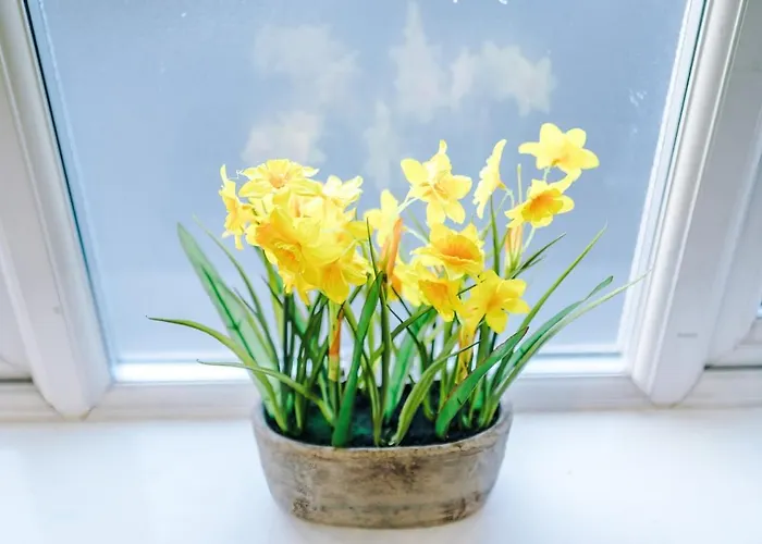 شقة Luxury 2 Bed Close To Coop Etihad And Centre *