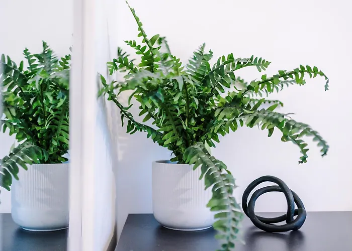 Trafford Loft Modern In Apartment Manchester