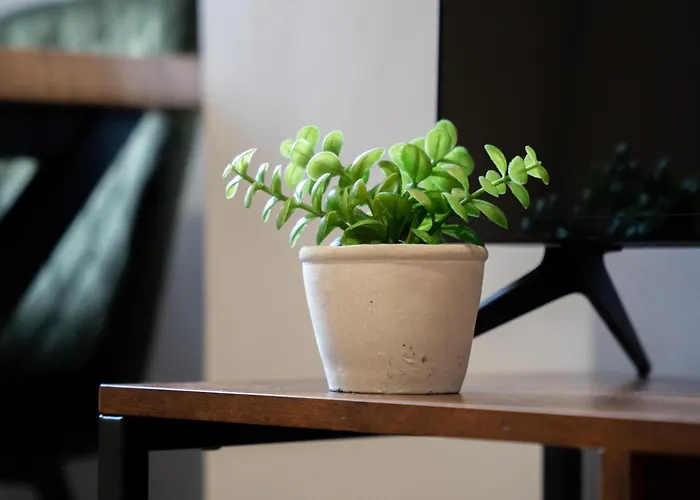 Lejlighed Comfortable 4 Bed - Free Parking & Fast Wifi