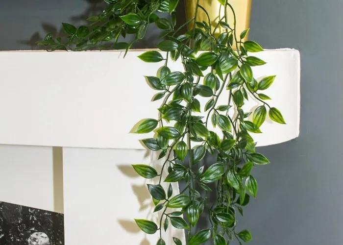 Dom wakacyjny 3 Bed - Shefa Homes *