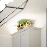 Blissful Breaks Near Old Trafford Stadium بيت للعطل