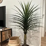 Bohemian With Terrace & Gym Appartement *