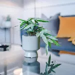 Spacious 2-Bed Home 5Mins To Co-Op Live & Etihad Campus W Free Parking *