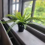 Charming Tudor White House Free Wifi * Manchester