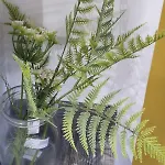 Greenland 62 公寓 *