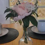 Greenland 62 曼彻斯特