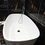 La Jungle Du Swan
