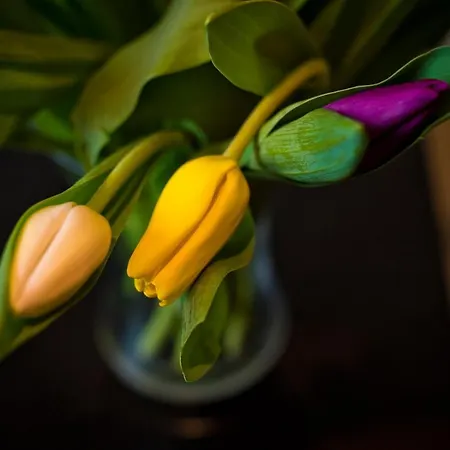 Bowling Kro Manchester