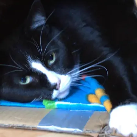 Dan's House Rum i privatbostad Manchester