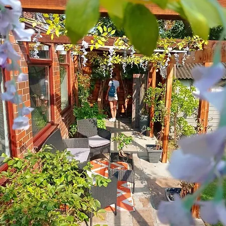 Movie Nights And Chill Apartment