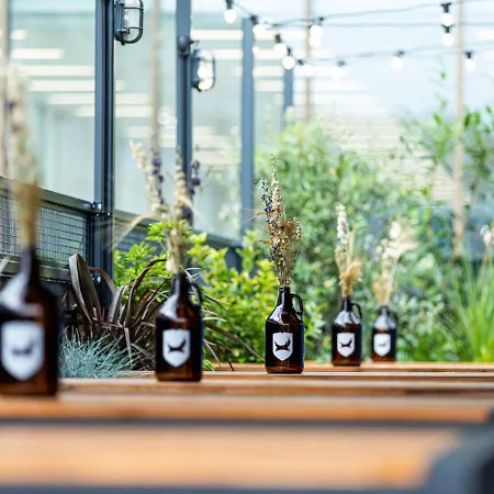 Brewdog Doghouse مانشستر