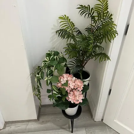 2 Bedroom Flat Close To City, Stadium And Coop Arena *