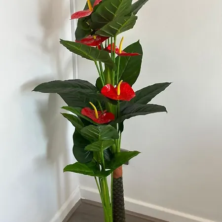 Appartement 2 Bedroom Flat Close To City, Stadium And Coop Arena