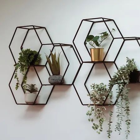 Exquisite 6 Bedroom Luxury