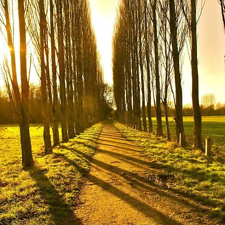 Grange Lane アパート マンチェスター