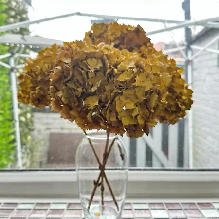 Ur Place 204 Apartmán Manchester