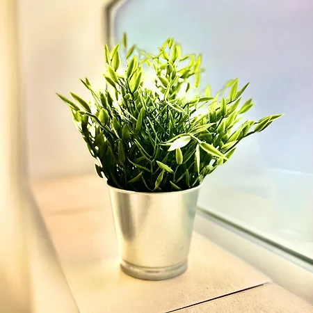 Lux En-suite Coop Arena Mancity Stadium Piccadilly * Manchester