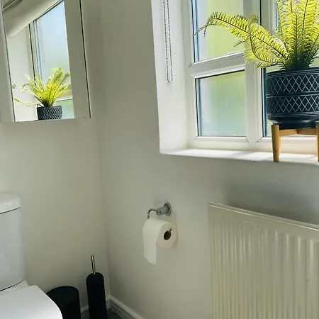 Modern, Stylish And Central Homestay